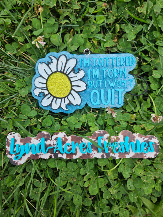 I'm Tattered, I'm Torn But I Won't Quit