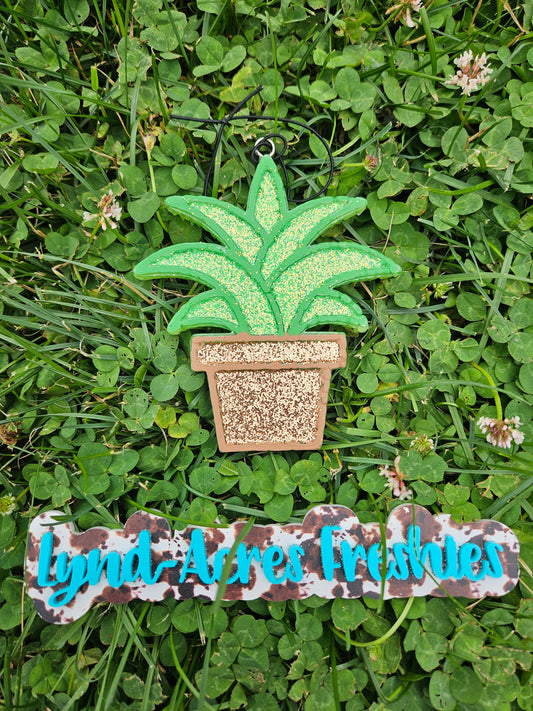 Plant