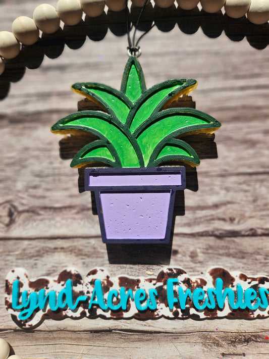 Plant